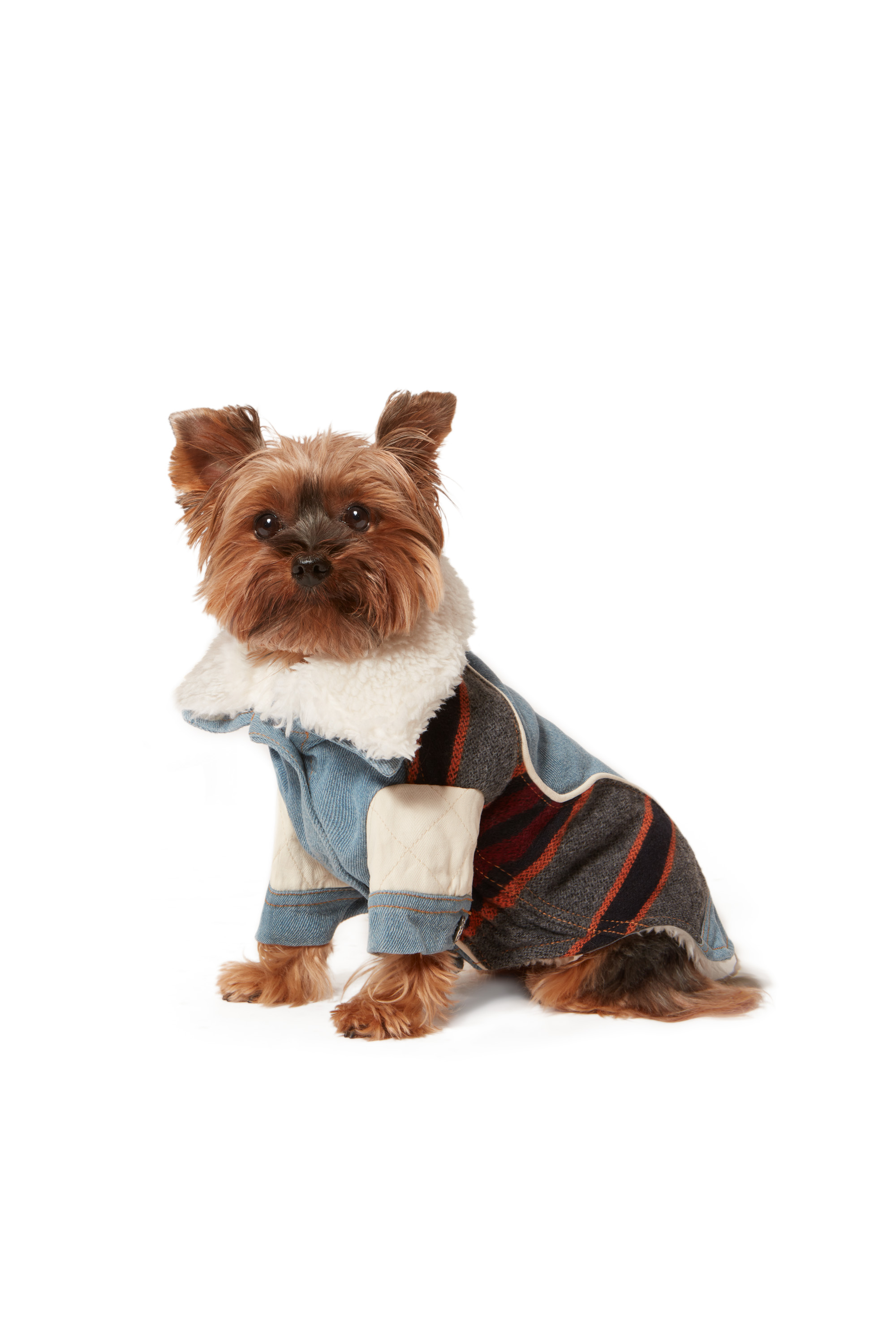 Diesel - PET-ED, Light Blue - Image 5