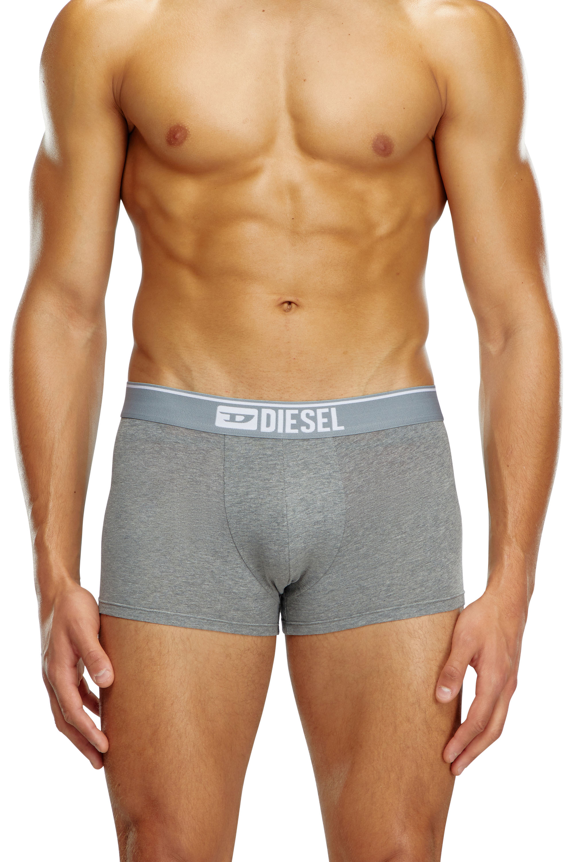 Diesel - UMBX-DAMIENTHREEPACK, Man's Three-pack of plain boxer briefs in White/Grey - 2