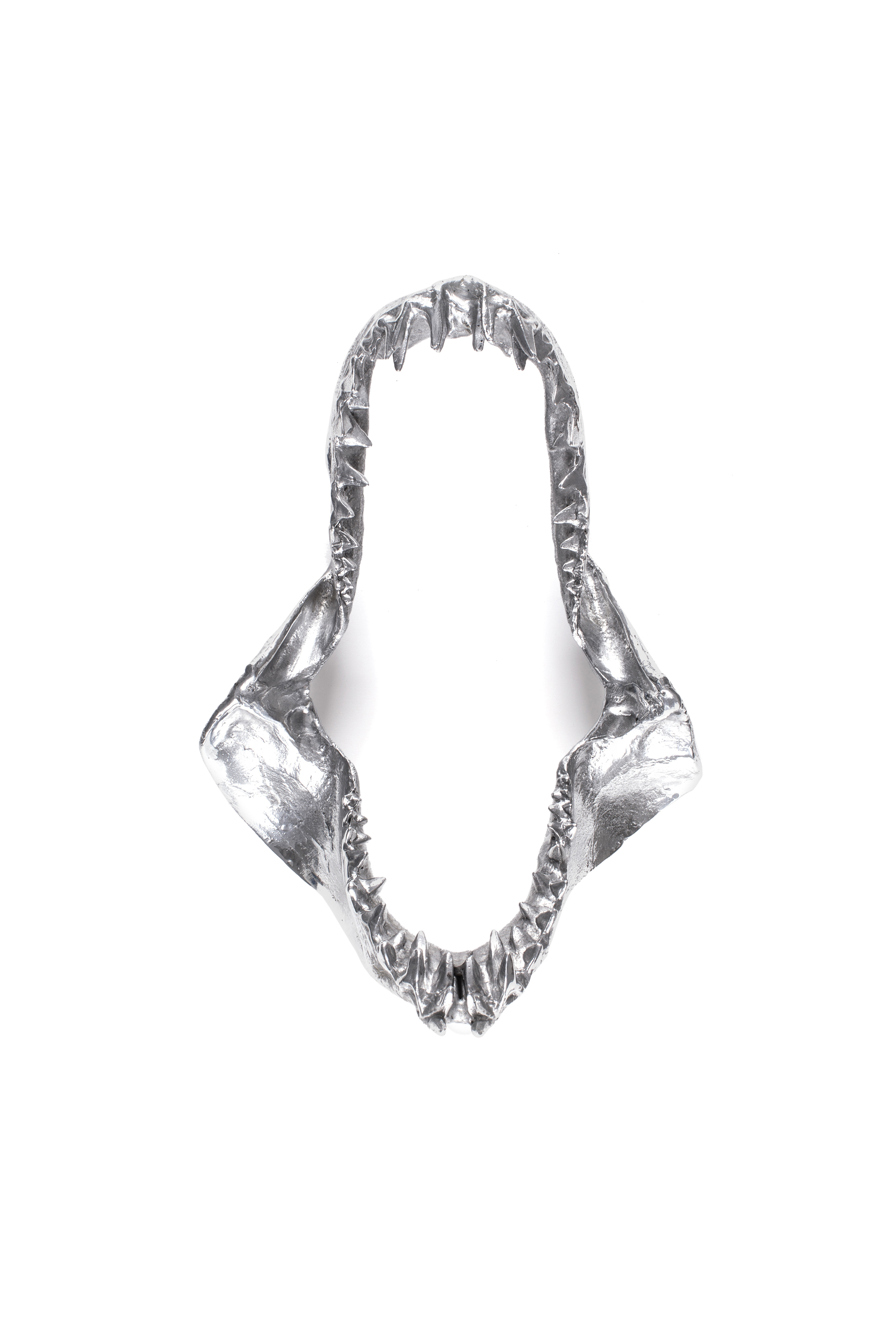 Diesel - 10896 WUNDERKAMMER, Unisex's "Bite For Your Right" Wunderkammer Shark Jaw in Silver - 1