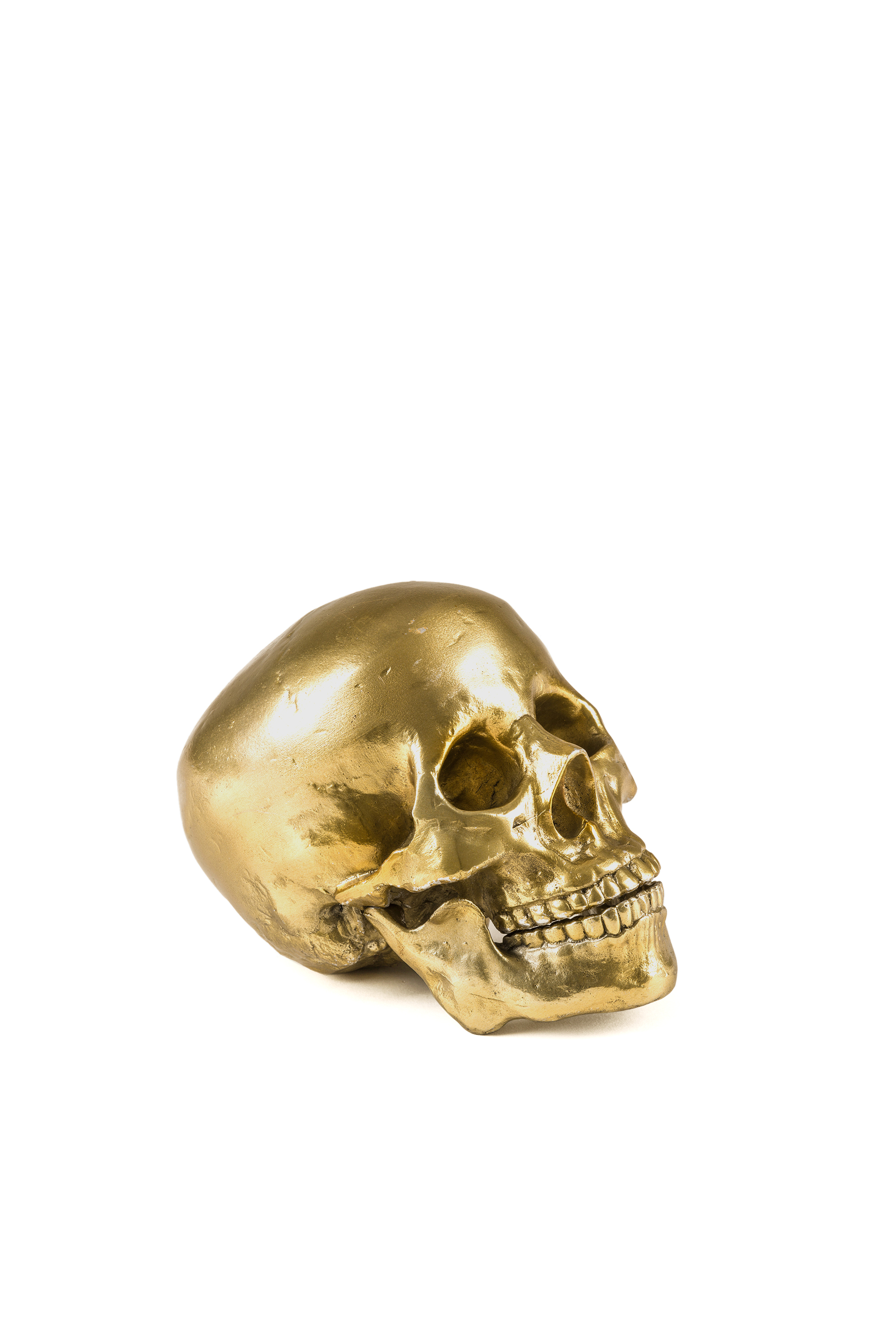 Diesel - 10891 Wunderkammer, Unisex's "Culture Skullture" Wunderkammer Human Skull in Gold - 1